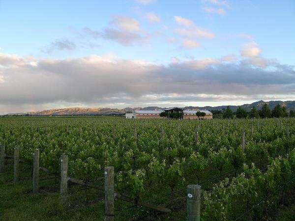 FROMM Winery