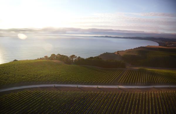 Yealands Estate Wines