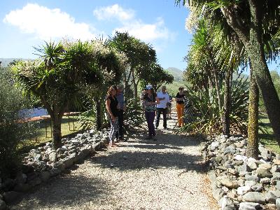 VITICULTURIST LINDSAY HILL IS A NZ FLAX FANATIC